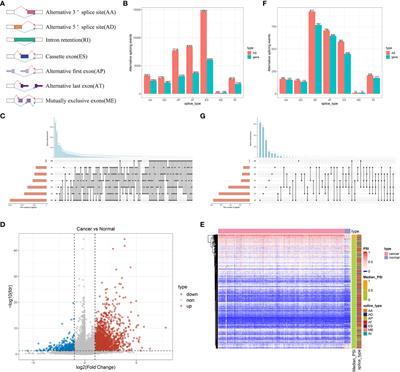 Identification of tumor antigens and immune landscapes for bladder urothelial carcinoma mRNA vaccine